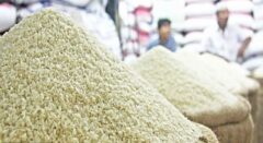 برنج در گلستان، ارزان‌تر از پارسال