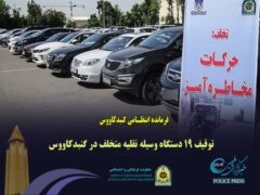 توقیف ۱۹ دستگاه وسیله نقلیه متخلف در گنبدکاووس