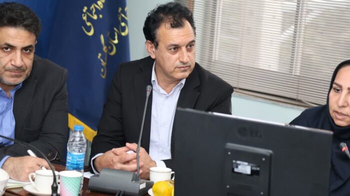۹۵ درصد موفقیت در طرح‌های اشتغال‌زایی گلستان؛
