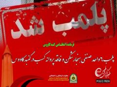 پلمب ۶ واحد صنفی هنجارشکن و فاقد پروانه کسب در گنبدکاووس