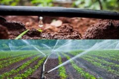 گذار از آبیاری سنتی به مدرن؛ آخرین خاکریز در برابر زوال کشاورزی گلستان