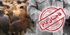 مجازات قاچاقچی دام های سنگین