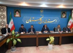 فرمانداران تصمیم گیران اصلی شهرستان ها هستند
