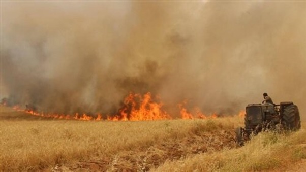 کشاورزان  گندم کارگلستانی گرفتارآتش