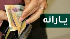 انتقاد نماینده مجلس از قطع یارانه برخی خانوارها بدون لحاظ رشد هزینه‌ها | لزوم اطلاع‌رسانی قبل از حذف یارانه‌های نقدی
